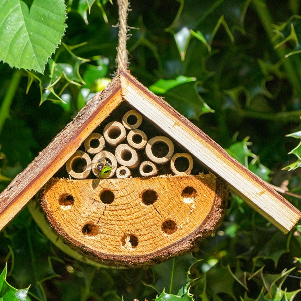 Nooks & Crannies Insect Loft; Leafcutter Bee using Nooks & Crannies Loft; Attact Beneficial Insects with NC Loft; Insect Loft attracting pollinators in an orchard