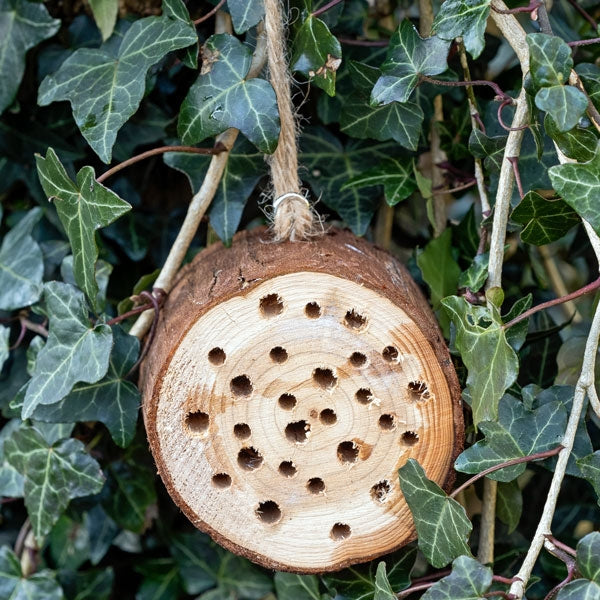 Nooks & Crannies Insect Log; Nooks & Crannies Insect Log Hanging; Nooks & Crannies Insect Log in Ivy; Nooks & Crannies Beneficial Insect Log