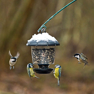Little Lantern Bird Seed Feeder; Little Lantern Bird Seed Feeder; Little Lantern Bird Seed Feeder; Little Lantern Bird Seed Feeder