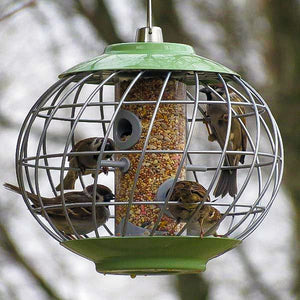 Nuttery Helix Seed Feeder; Nuttery Helix Seed Feeder; Nuttery Helix Seed Feeder