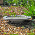 Oasis bird bath on rocky flower bed