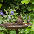 Old Iron Classic Bird Bath; Old Iron Classic Bird Bath; Old Iron Classic Bird Bath; Old Iron Classic Bird Bath