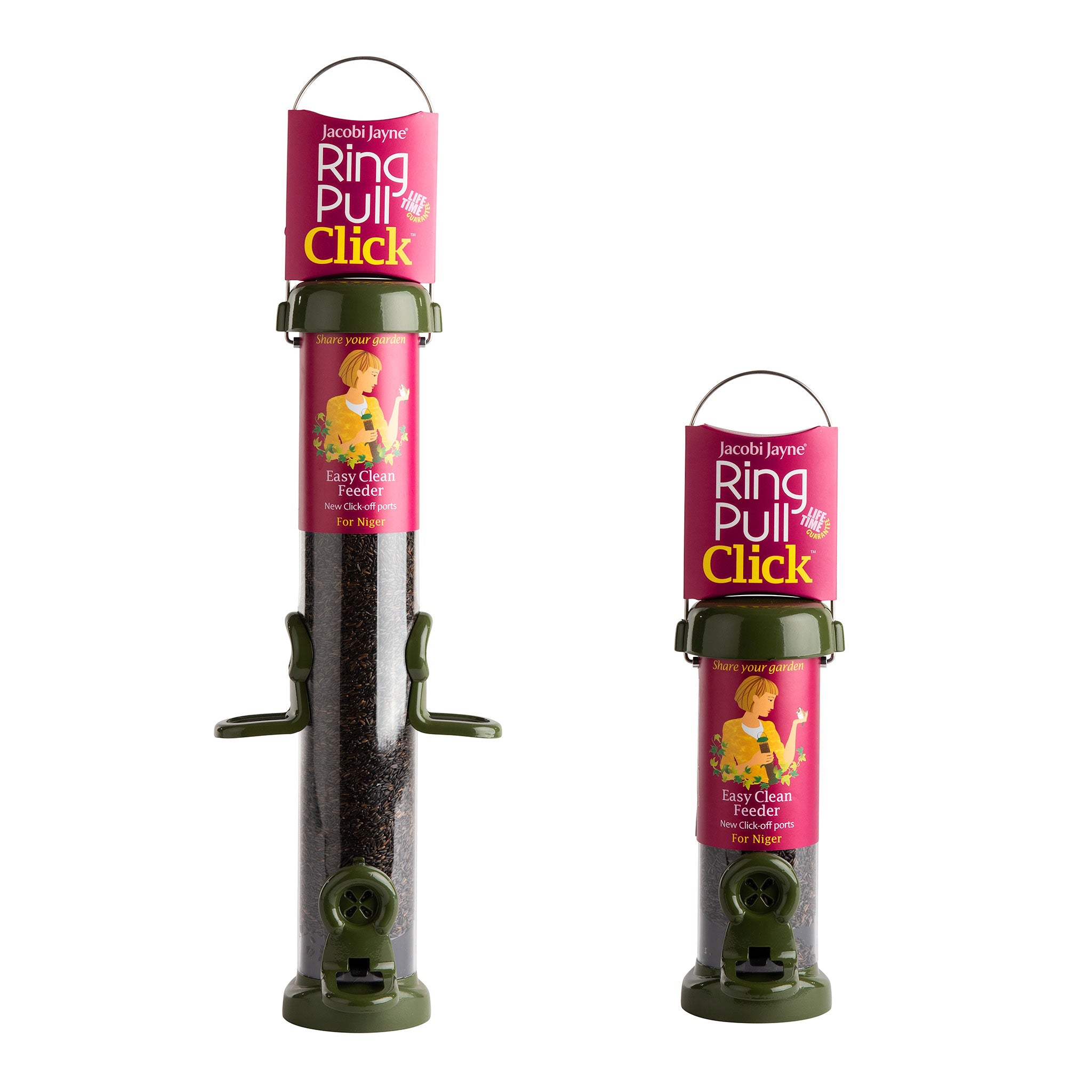 Ring-Necked Parakeets: Identification, Habitat and Food