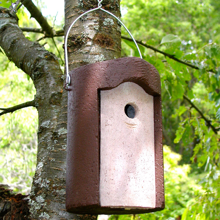 Schwegler 1B Hole Nestbox Brown