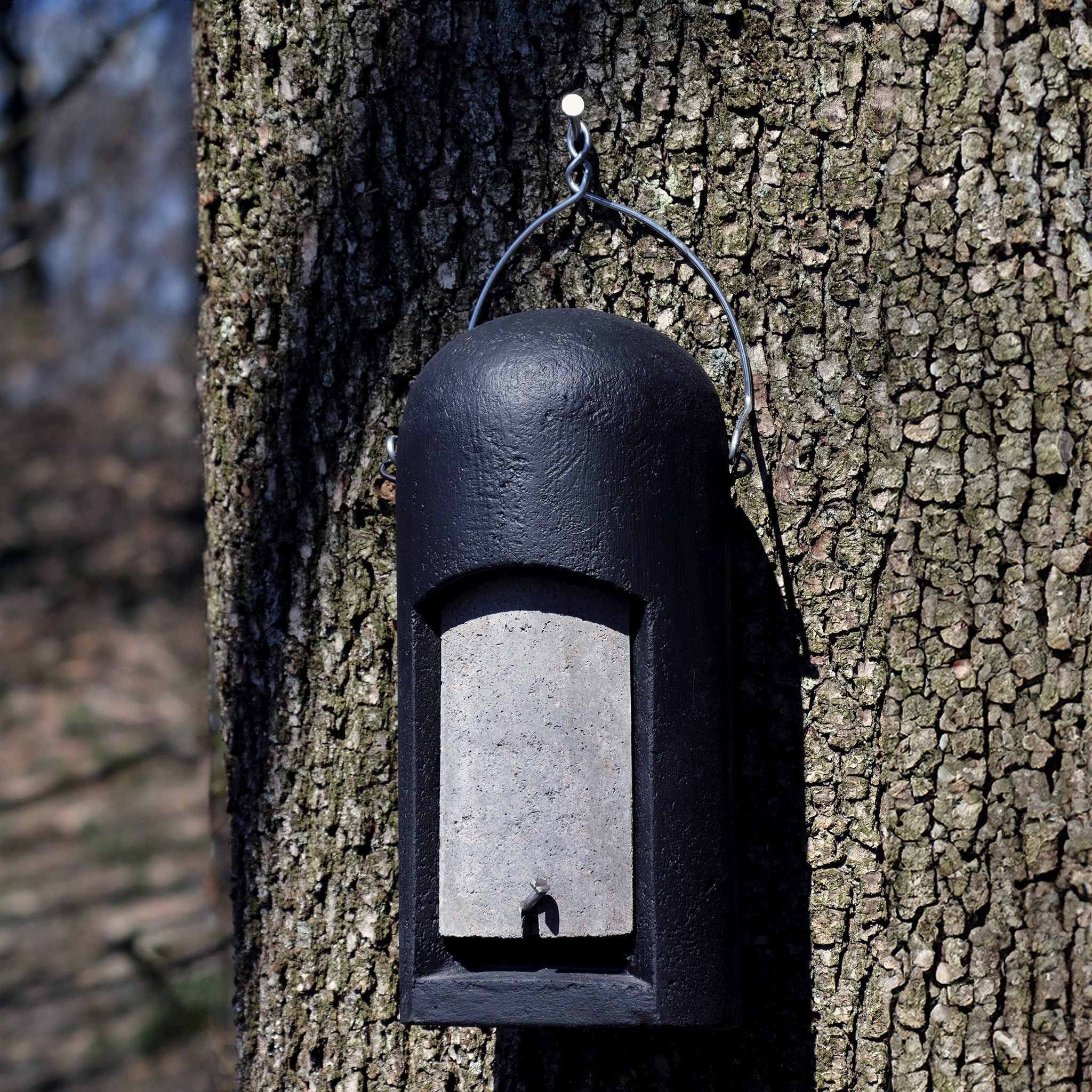 bat box hanging on tree trunk