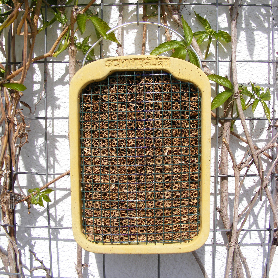 Hidden Insect Block Schwegler Reed Insect Block - Ark Wildlife UK