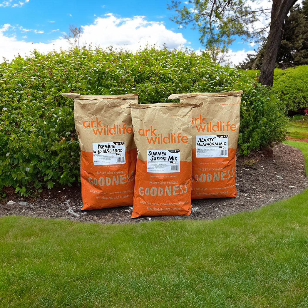 Bird Food Seasonal Deal
