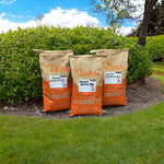 Bird Food Seasonal Deal