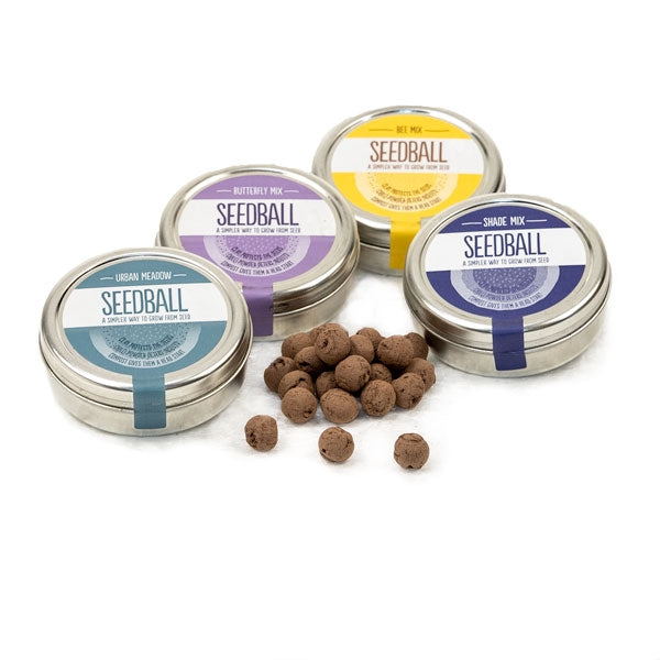 Seedballs Wildflower Seeds;Seedball germinating wildflowers;UK Wildflower Seeds;Wildflower Seeds from Seedball