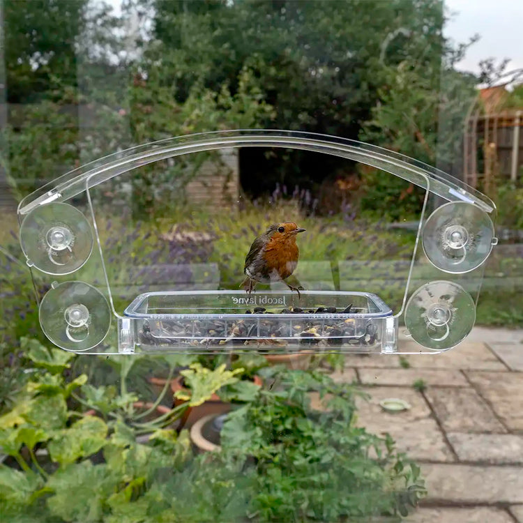 Sky Deck Window bird feeder withrobins