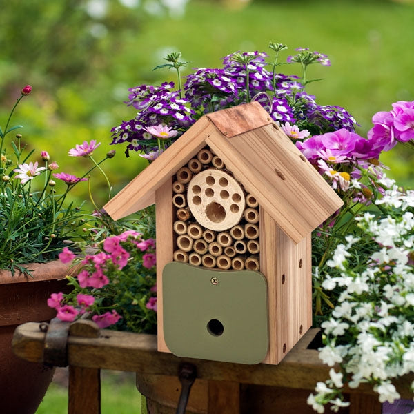 Bug & Bee Barn; Solitary bee house insect habitat; class=lazyload lazy-hidden img-responsive" data-src="https://img.youtube.com/vi/ELaLSBXtAgs/0.jpg">