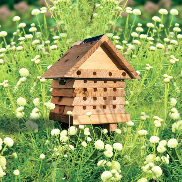 Interactive Solitary Bee Hive; Leafcutter egg cells; A bees new home; Solitary bee house in the garden