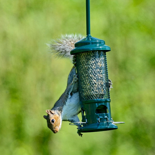 The Squirrel Buster showing hanger; The Squirrel Buster; Squirrel Buster Seed Feeder; 100% Squirrel Proof Seed Feeder