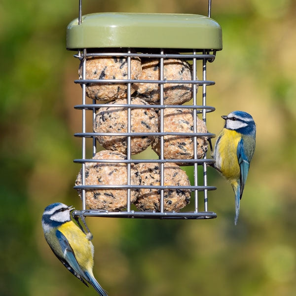 Premium Suet & Fat Ball Feeder Green; Premium Suet & Fat Ball Feeder Orange; Premium Suet & Fat Ball Feeder Orange in use; Premium Suet & Fat Ball Feeder Green in use