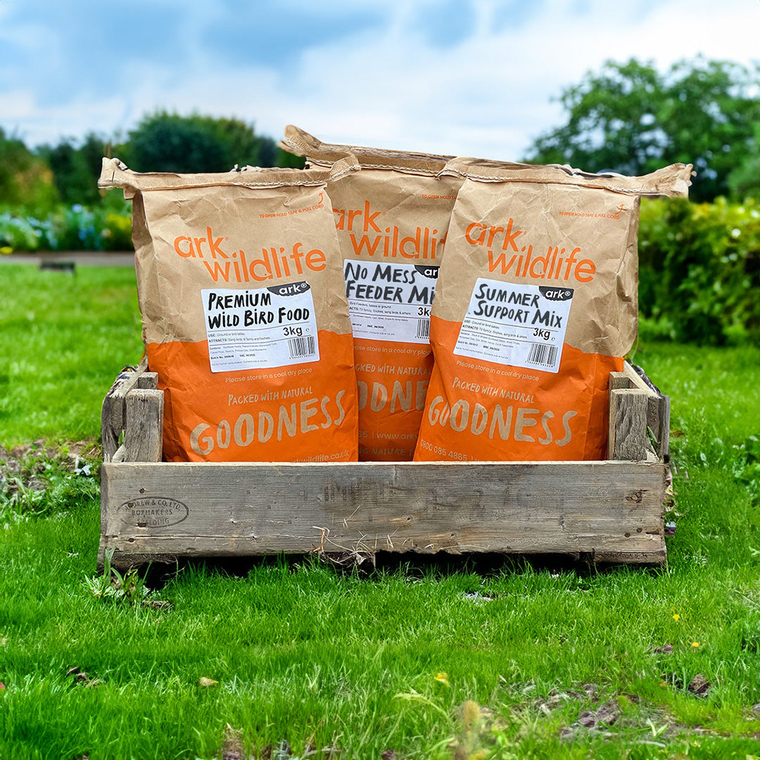 What to Feed Garden Birds in Spring - Spring Feeding Guide