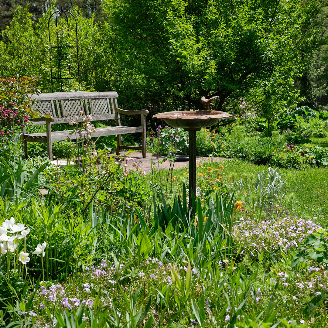 What to Feed Garden Birds in Spring - Spring Feeding Guide