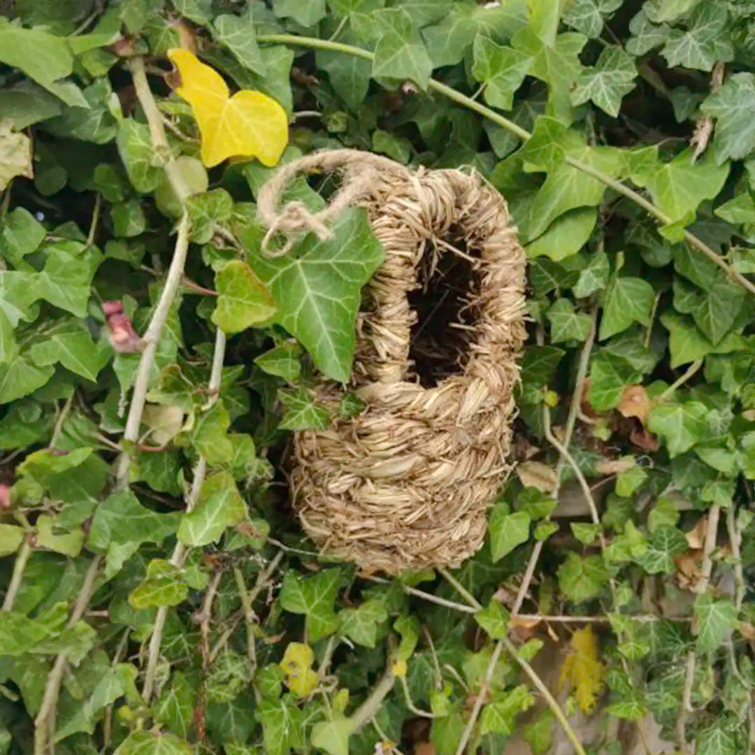 Roosting Nest Pouches