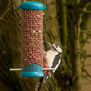 Standard Peanut Kernels; Attract more birds with quality peanut kernels; Woodpeckers love peanut kernels; Keep squirrels off peanuts for birds