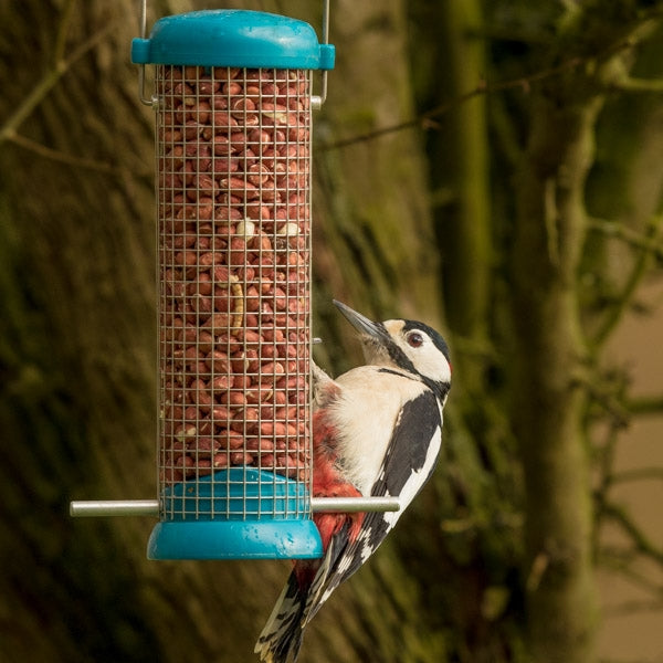 Standard Peanut Kernels; Attract more birds with quality peanut kernels; Woodpeckers love peanut kernels; Keep squirrels off peanuts for birds