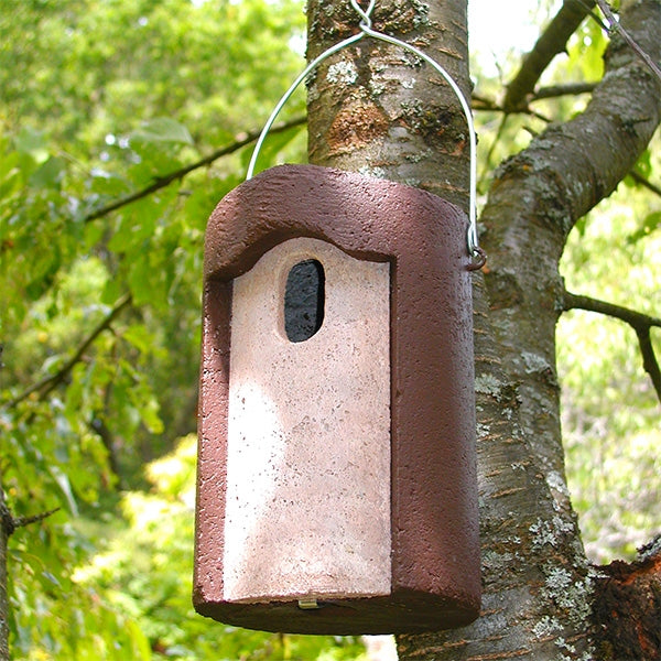 Fledglings