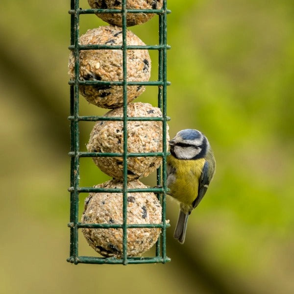 Life on the log pile