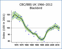 Fig1. Data from the BTO/JNCC/RSPB Breeding Bird Study show blackbird populations have declined by 16% since the mid-1960's.