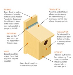 How to make a bird nest box