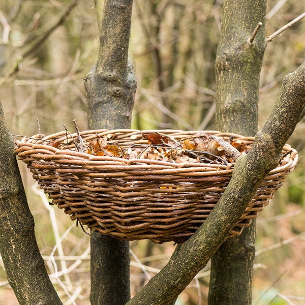 Quality Bird Food Promise