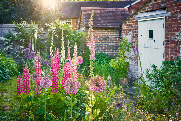 Wildlife friendly lawn