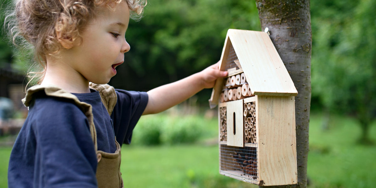 Child looking at a bee house