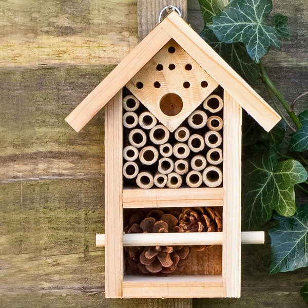 Child looking at a bee house