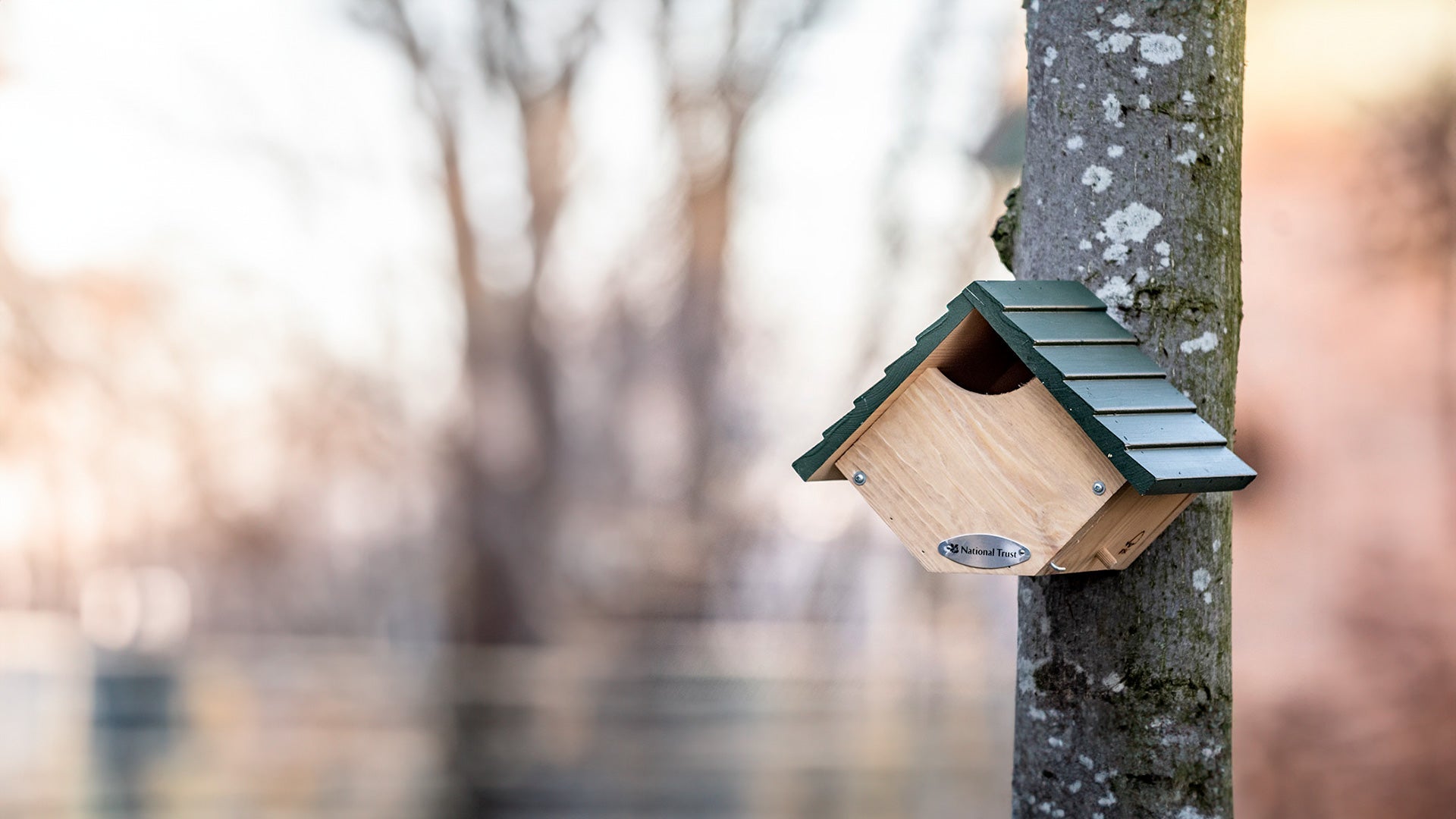 siting robin nest box uk