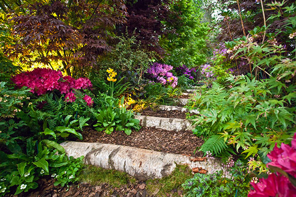 wildlife garden steps surrounded by flowers