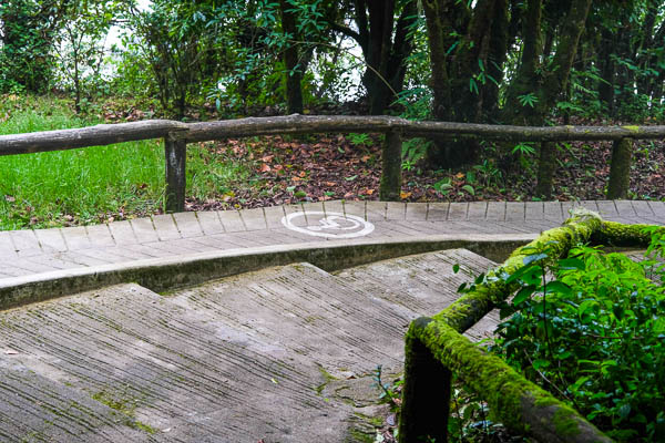 Wooden garden path with disabled access