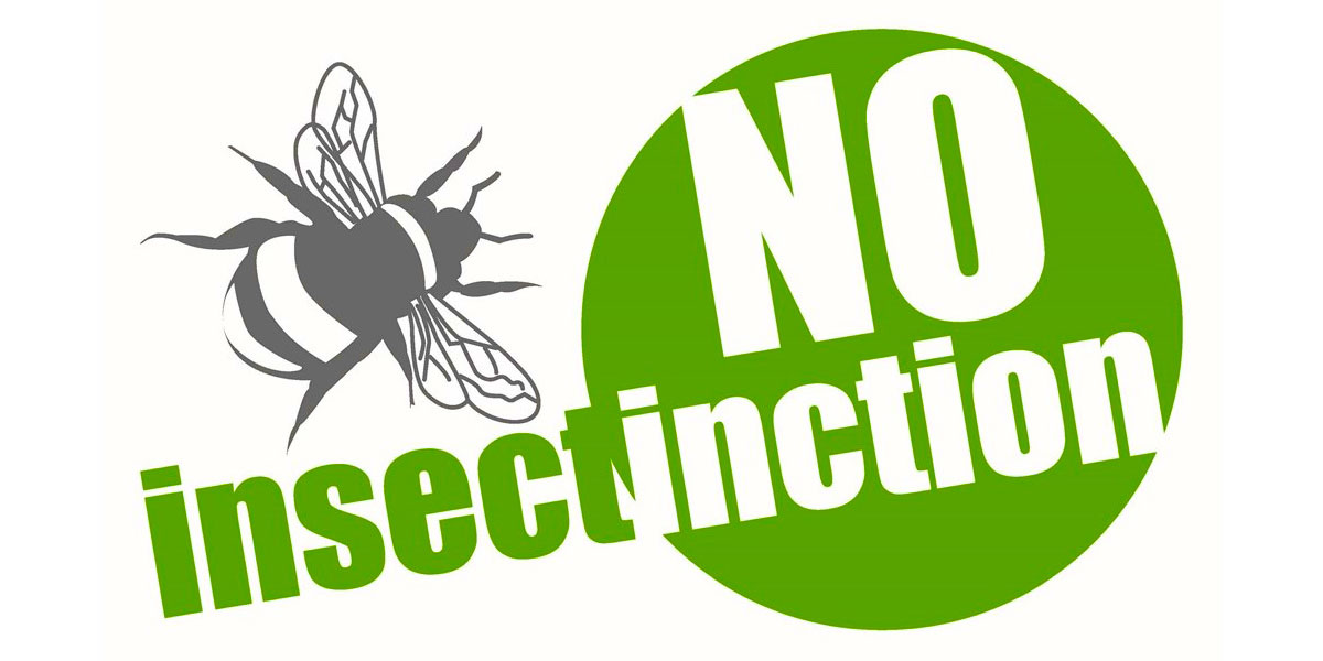 Buglife NO Insectinction