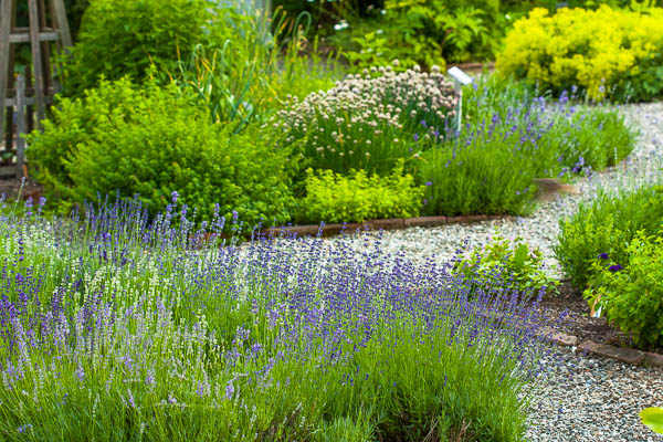 Sensory garden with gravel path