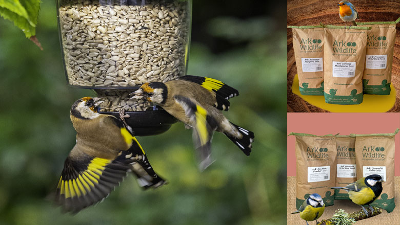 Bird Food Value Packs