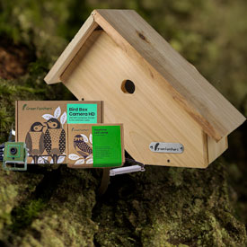 wi-fi camera bird nest box